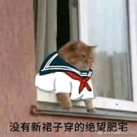 一天能背八百个