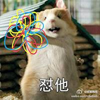 勋鹿00灿白