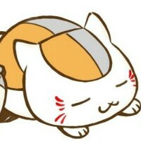 Cherish松鱼