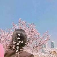 随意N