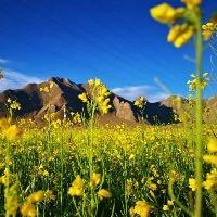 小鱼爱猫咪呀呀