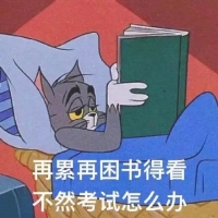 邵佳盈