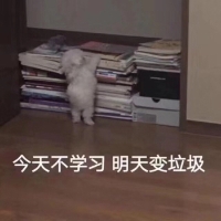 魏kun