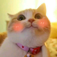 枣怀
