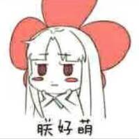 樱花已落何处觅伤