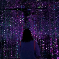 粉红顽皮豹76548