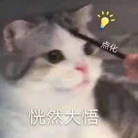 李湖灯