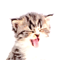 看到你的心情舒