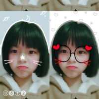 一枝梅红梅