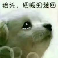 uJVkkIgcF6P
