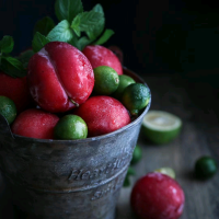 渔灯隐映蒹葭浦