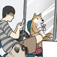 我想我不会一直走