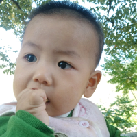 像风一样飞翔的时候