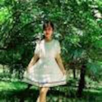 静若繁花43654