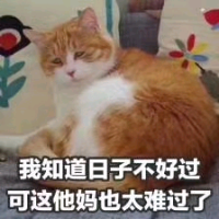 小番薯emm