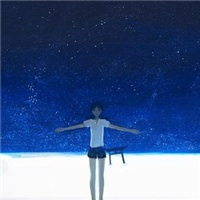 艾雪者
