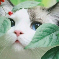 殊离即殇6062069475