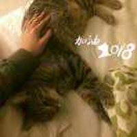 一个失误注册的账号