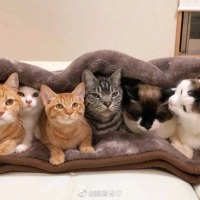 爱盈莹的钱钱you