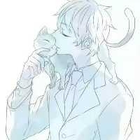 天天就是天天向上